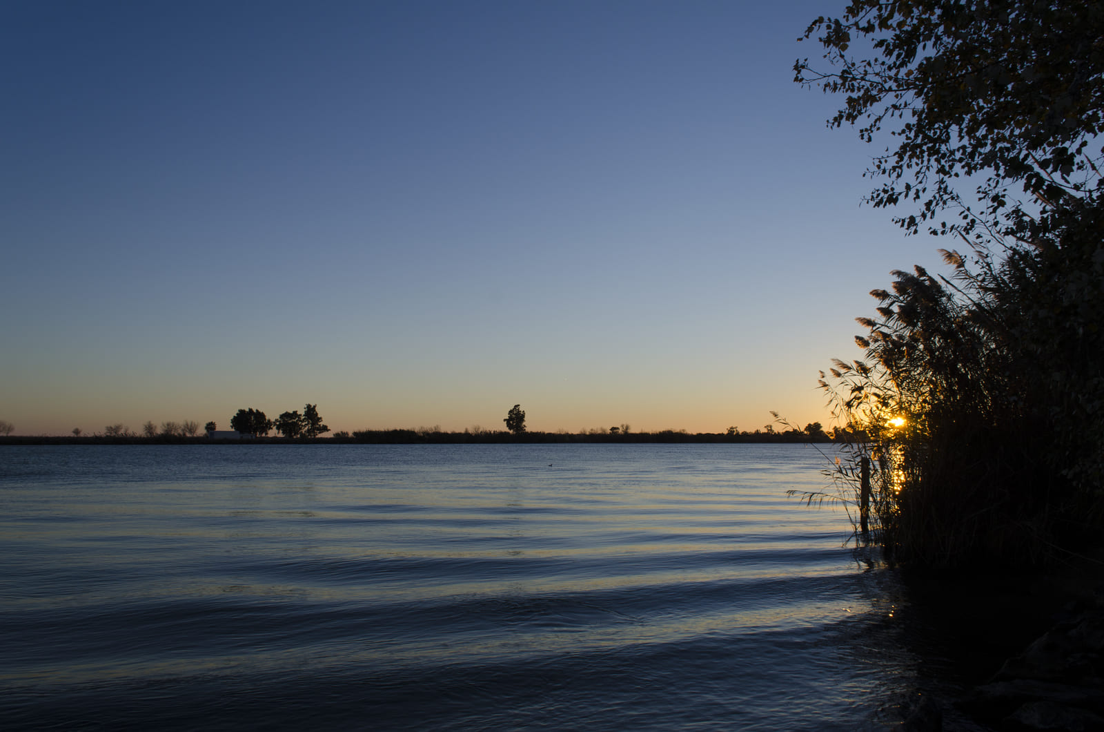 Capvespre en una llacuna del Delta de l’Ebre