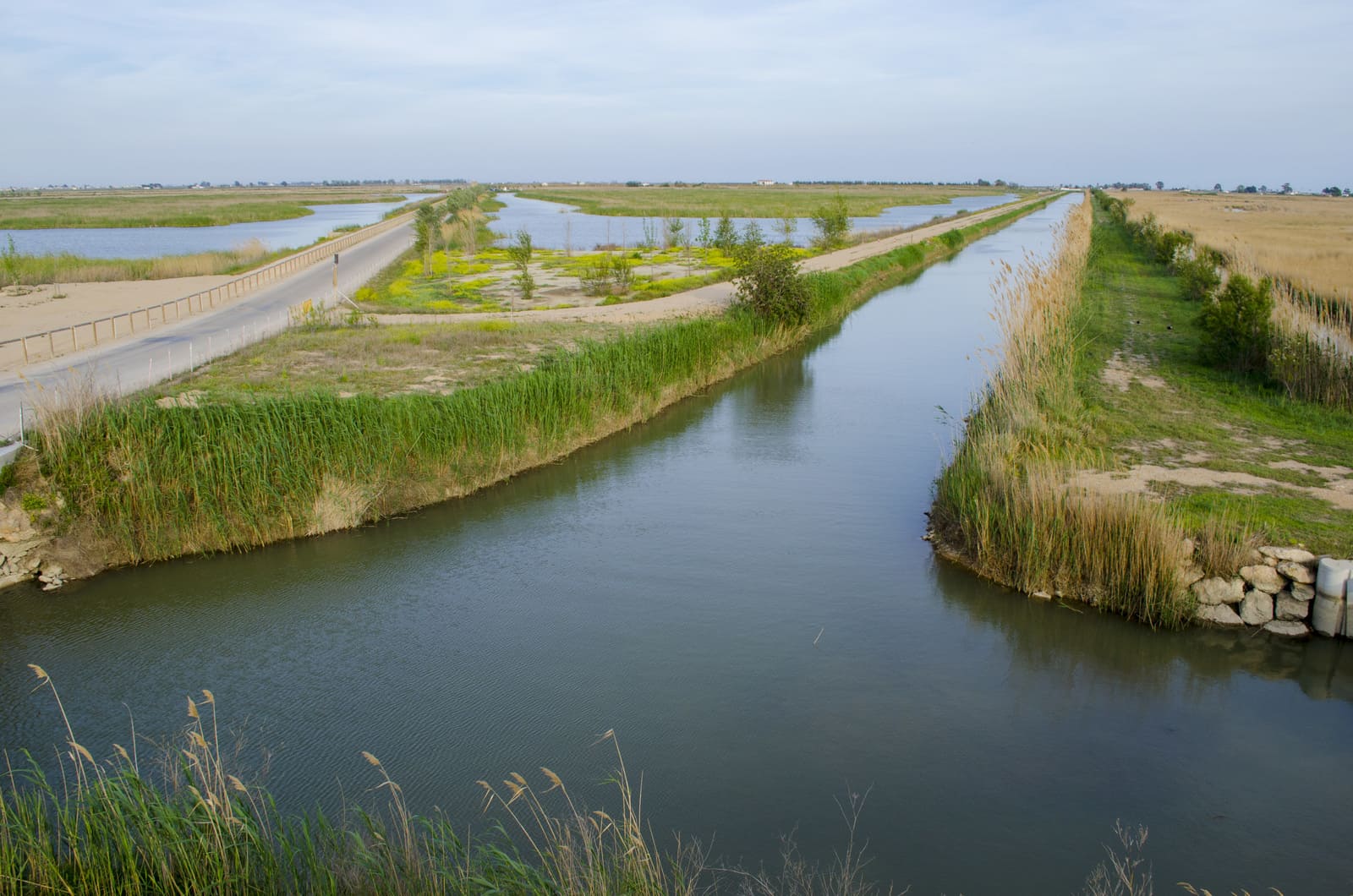 Canal de rec entre arrossars al Delta de l’Ebre