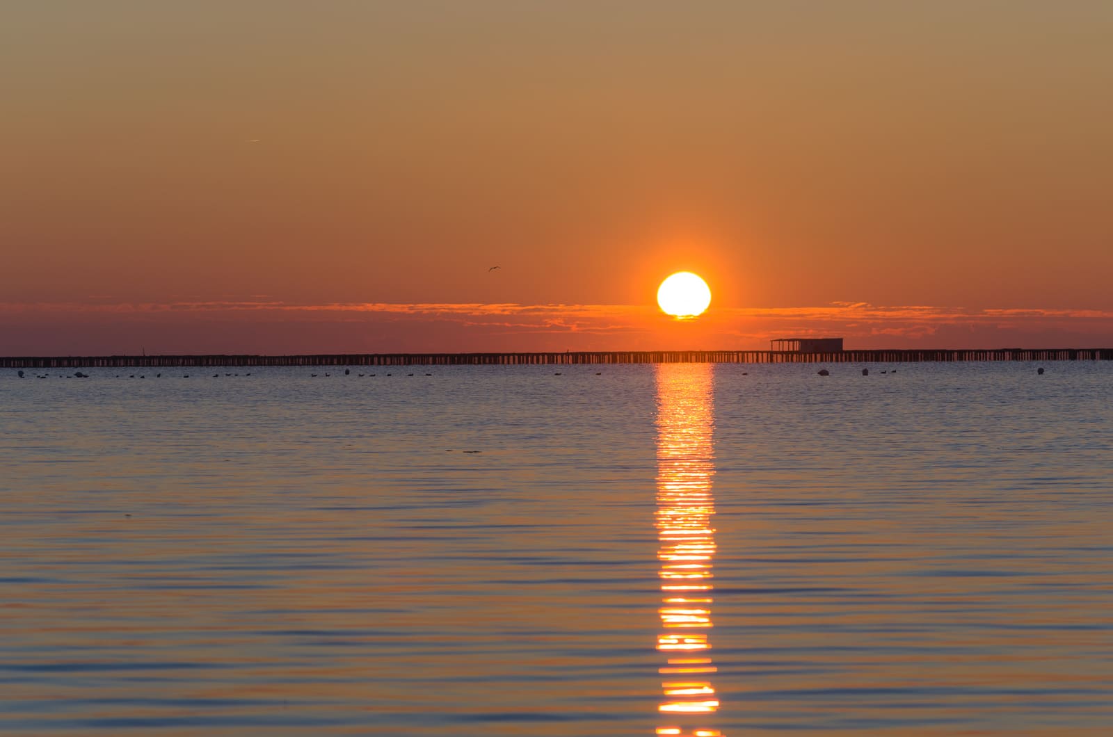 Posta de sol sobre l’aigua al Delta de l’Ebre